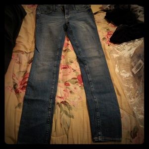 Hollister Jean's